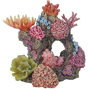 Haquoss Reef Dream 13, 18x 14x 18h cm