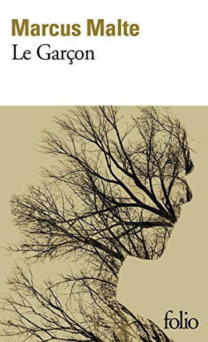 couverture de : Le gar&ccedil;on