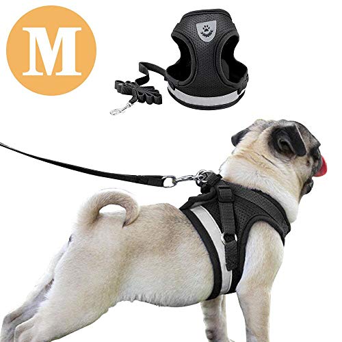 DAMIGRAM Perros Pecho de Arnés, Reflectante Antitranspirante Acolchado Seguridad Chaleco Cabestro Cinturón De Seguridad de Perro para Ejercicio de Caminar Formación Corriendo (M)