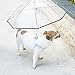 Produktbild Pet Dog UmbrellaRemovable Transparent Raincoats Umbrella with Leash Keeps your Pet Dry and Comfotable in Rain Days
