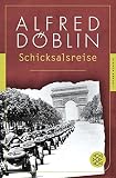 Cover zum Buch Schicksalsreise