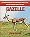 Produktbild Gazelle: Fun and Fascinating Facts and Photos about These Amazing & Unique Animals for Kids