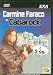 carmine faraco in cabarock dvd Italian Import