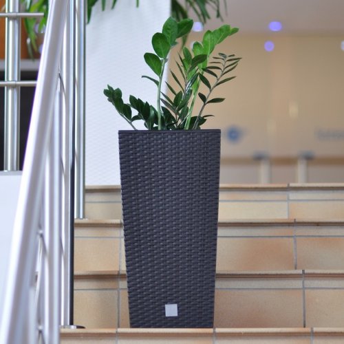 Prosperplast Rattan Blumentopf 26,6 L Anthrazit Übertopf Innen Außen mit Innenkasten wetterfest, schwarz, 26,5 x 26,5 x 50 cm, DRTS265-S433 - 6