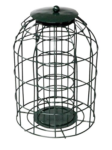 Eichhörnchen Schutz Fat Ball Feeder - 2