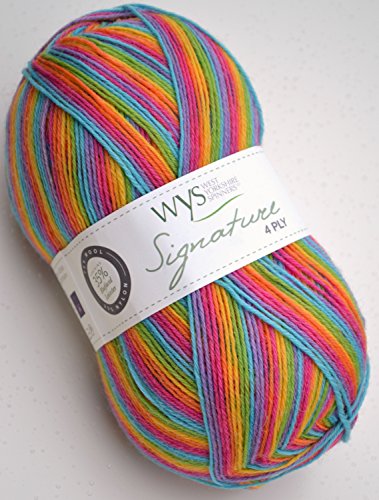WYS Sockenwolle mit Bluefaced Leicester Wolle „Signature 4ply“ Cocktail Range sock yarn 822 – rum paradise, 100g Sockenwolle musterbildend mit blue faced leicester wool - 2