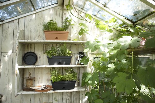 elho Green Basics Balkonkasten All-in-One Geländertopf 50cm – Lebhaft Schwarz - 8