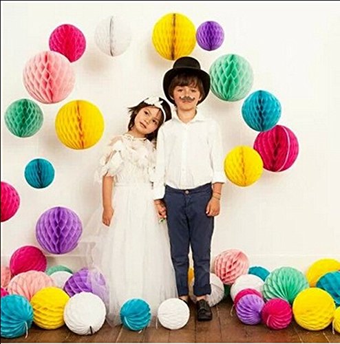 SwirlColor Elegant Honeycomb Flower Ball Pull Paper Flower Balls for Wedding Garden Party Outdoor Decoration 12 Pcs - Hot Pink, White