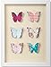 SALE Graham & Brown Butterflies Corsage Framed Wall Art Was £20 Now £12.50