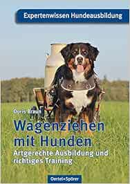 Wagenziehen Mit Hunden Artgerechte Ausbildung Und Richtiges