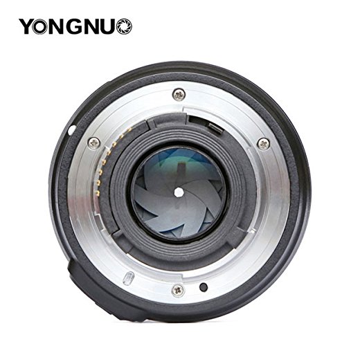Asequible Lente estándar de Yongnuo YN50 mm f1.8 N AF/MF para Nikon
D7100, D5500, D810a, D800 Revisión