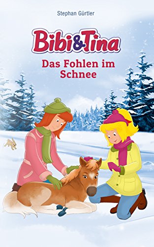Bibi & Tina - Das Fohlen im Schnee: Roman