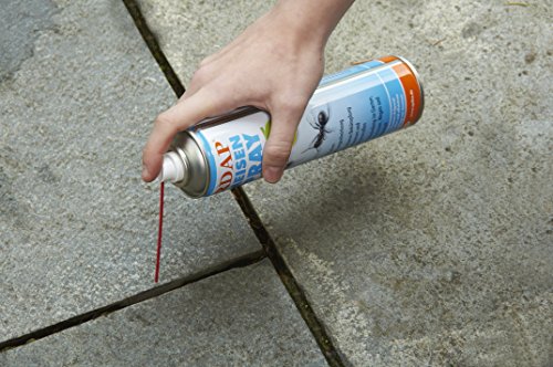Quiko Ardap Ameisenspray, 400 ml - 5