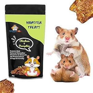WiggleBoo Chicken & Pumpkin Hamster Treat | Travel Pack | Protein Rich | Natural Detoxifier | 100% Natural Crunchy Food Snack | 30g