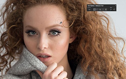 PaintShop Pro 2018 - Software De Dise  o Grafico Y Edici  n De Fotos  Windows  Multi  1 Usuario