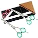Professional scissors - Professional Hairdressing Scissors, Thinning Scissors, Barber Hair Shears, Super cut Sharp Hair cutting & thinning Scissors Set 5.5" + Scissors Case