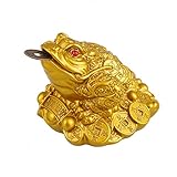Gold Feng Shui Money Lucky Fortune - Monedero de Rana China Oriental