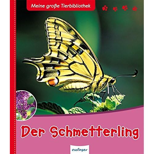 Meine große Tierbibliothek: Der Schmetterling