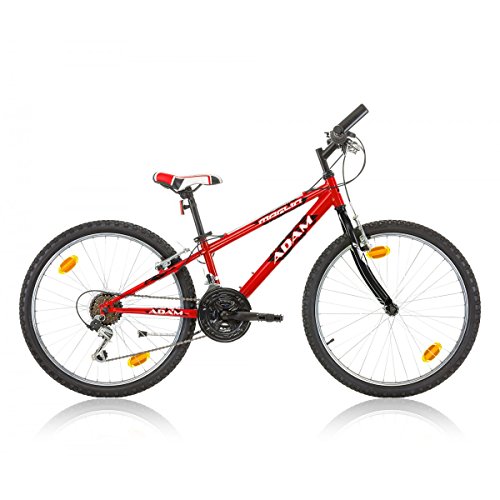 Preisvergleich Produktbild 'Mountainbike Jungen Adam 20 rot / schwarz 2017