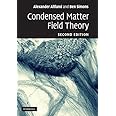 Condensed Matter Field Theory