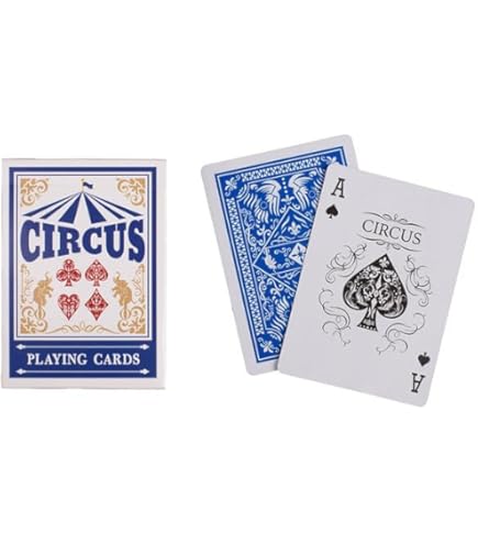 Daiso Plastic Playing Cards With Case : Amazon.ae: Toys