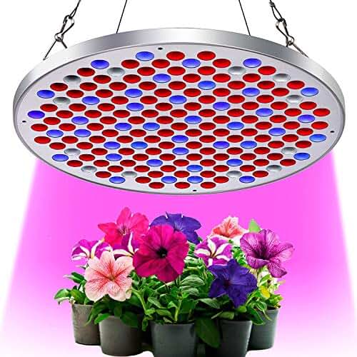 Suchergebnis auf Amazon.de für: gewächshaus: Beleuchtung