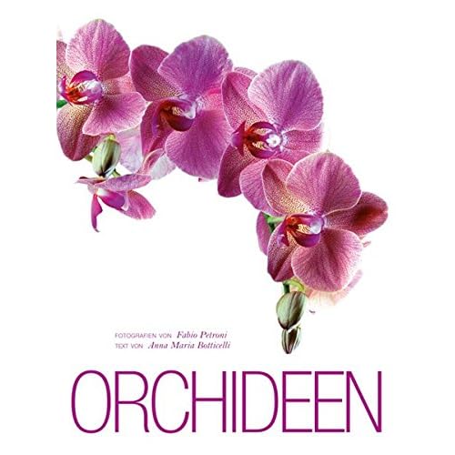 Pdf Orchideen Alles Wissenswerte Uber Die Sinnlichste Aller Blumen Bildband Der Bezauberndne Und Sinnlichen Pflanze Mit Den Unterschiedlichsten Arten In Gross Und Detailaufnahmen Kostenlos Download Logisch Wissenschaftsbuch Kostenloser Docx