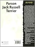 Image de Parson Jack Russell Terrier