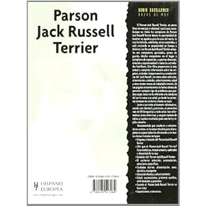 Parson Jack Russell Terrier