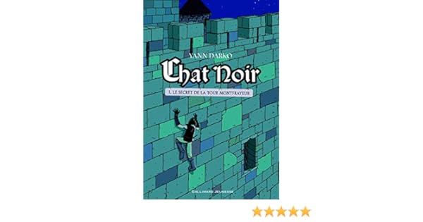 Chat Noir Tome 1 Le Secret De La Tour Montfrayeur Amazon