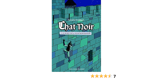 Chat Noir Tome 1 Le Secret De La Tour Montfrayeur Amazon Fr Darko Yann Livres