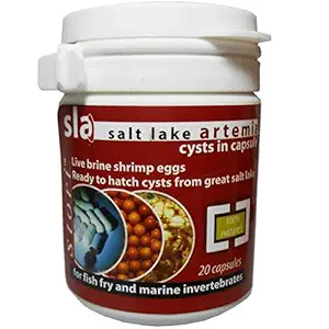 Aquatic Remedies Baby Salt Lake Artemia Bhrime Dry Shrimps, 50 g (20 Capsules)