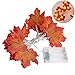 Produktbild LEDMOMO Thanksgiving Dekorationen beleuchtet Herbst Garland 2M 20LED Ernte Lichterketten Thanksgiving Decor Geschenk