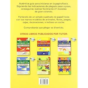 PLIEGA Y DISFRUTA. INICIACIÓN A LA PAPIROFLEXIA PARA TODOS (Pliega Y Disfruta / Fold and Enjoy)