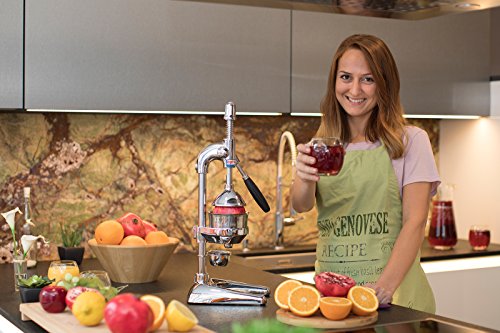 OPTIMUM XL PROFI SAFTPRESSE, ENTSAFTER HEBEL ZITRUSPRESSE ORANGEN,GRANATAPFEL CHROM - 7