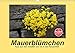 Produktbild Mauerblümchen - Raus aus dem Schatten und rein in das Rampenlicht (Wandkalender 2019 DIN A3 quer)