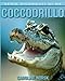 Produktbild Coccodrillo: Libro sui Coccodrillo per Bambini con Foto Stupende & Storie Divertenti (Serie Ricordati Di Me)