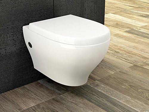 Wall hung toilet including soft close seat, without flush rim