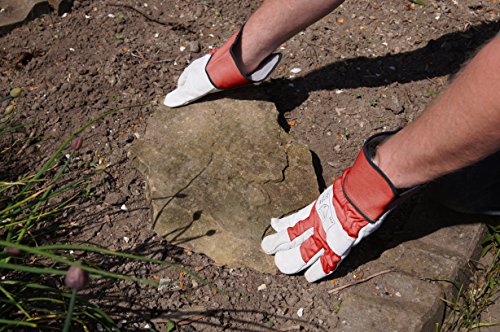 Connex COX938634 Handschuhe Vollleder stark Große 10 - 5