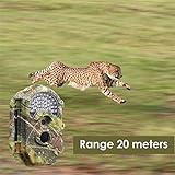 Trallf Wildkamera Nachtsicht, 16 Millionen HD-Pixel Automatische MMS Infrarotüberwachung IP65 Wasserdicht Trail Wildlife-Kamera