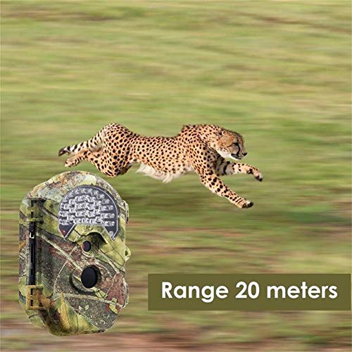 Trallf Wildkamera Nachtsicht, 16 Millionen HD-Pixel Automatische MMS Infrarotüberwachung IP65 Wasserdicht Trail Wildlife-Kamera