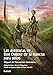 Las Aventuras de Don Quijote de la Mancha Para Niños (La Brújula Y La Veleta, Band 14) by Miguel De Cervantes Saavedra, Enzo Maqueira