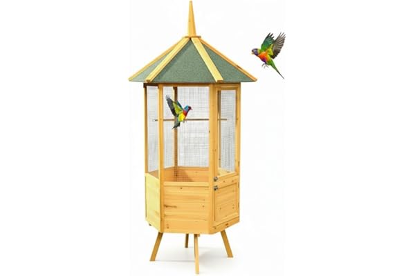 Volière XXL 6 coins Volière cage en bois maison pour oiseaux cage