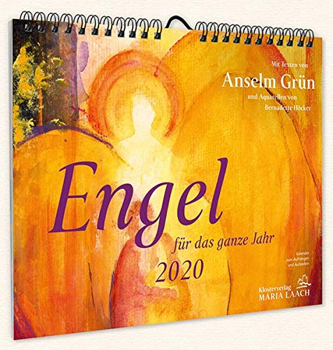 Preisvergleich Produktbild Engel für das ganze Jahr 2020