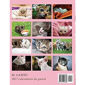 El Gatito 2017 Calendario de Pared (Edicion España)
