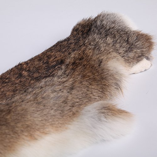 URSFUR Erstklassige Felle aus Kaninchen Echte Tierfell Kaninchenfell Kanin Hasenfell 18.5*11Inches -weiß - 6