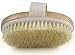 Dry Skin Body Brush - Improves Skin's Health And Beauty - Natural Bristle - Remove Dead Skin And Toxins, Cellulite Treatment , Improves Lymphatic Functions, Exfoliates, Stimulates Blood Circulation