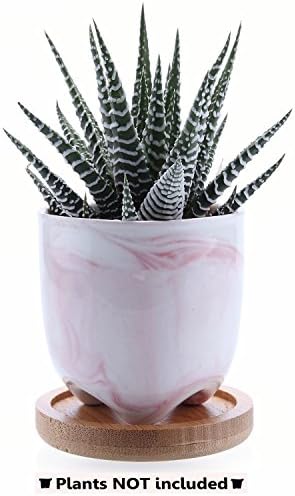 T4U 6cm Ice Cream Serial Modern Succulent Cactus Plant Pots Flower Pots Planters Containers Window Boxes Pink with Bamboo Trays NO.2