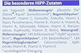 Hipp Bio-Milchbrei Früchte Joghurt - 3