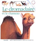 Image de Le dromadaire et le chameau